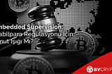 Embedded Supervision: Stabilpara Regülasyonu İçin Umut Işığı Mı?
