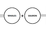 Spawning Salmons, Not Creating Whales — a New Paradigm for Accelerating Social Transformation.