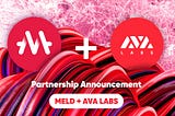 MELD — Ava Labs Partnership