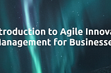 An introduction to Agile Innovation Management for Businesses