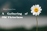 Lessons I learnt at a Gathering of Victorians