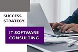 IT Software consulting