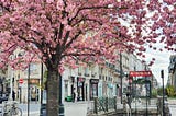 Traveling to Paris in Spring