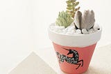 Vinyl Decal Succulent Pot