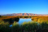 5 Bay Area Nature Spots You’ve Never Seen (But Should)