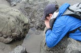 How Climate Change Is Affecting Tide Pools