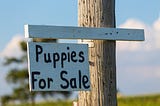 Are you concerned about puppy mills and the unregulated backyard breeding epidemic?