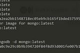 Commands for Mongodb(container)