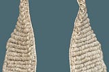 Typical British Courts’ judge wig.