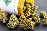 Cannabis Benefits: What You Need to Know?
