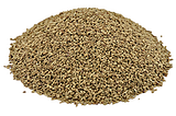 Ajwain Seeds Exporters — Kore Agro International