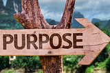EXPLORING THE DEEPER MEANING OF PURPOSE