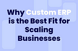 Why Custom ERP is the Best Fit for Scaling Businesses