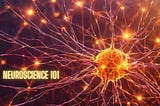 A graphic image of the inner workings of the nervous system on the cellular level with the words Neuroscience 101 as an overlay text.