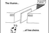 The Illusion of choice ( do we really have a say in our lives?)
