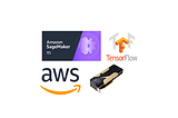 How to configure NVIDIA GPU to work with Tensorflow 2 on AWS SageMaker