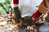 Ten Tasks To Prepare Your Garden for Winter