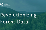 Revolutionizing Forest Data Validation: A Global Network to Usher in a New Era of Climate Action