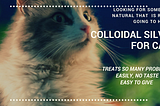 Can Colloidal Silver Be Used For Cats Health?