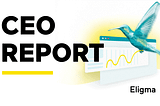 CEO REPORT