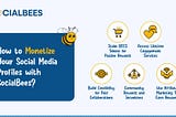 How to Monetize Your Social Media Profiles with SocialBees?