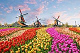 Dutch agriculturists pave the way forward to feed the world