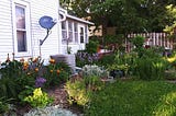 Giggles in the Garden: Questions From a New Gardener, and a Tip