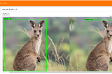 Custom real-time object detection in the browser using TensorFlow.js