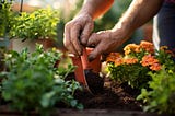 January Gardening Guide 7 Must-Have Plants to Kickstart Your Garden
