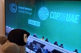 COP28: A Perspective from a Climate Figuran