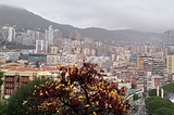 A day trip guide to Monaco (The place that called me BROKE)