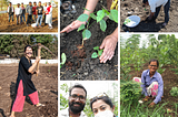 Random Reflections on Year 1 | Farmers for Forests