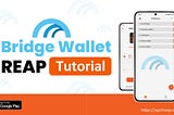 Backing up your Bridge Wallet Seed Phrase using REAP