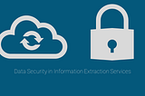 Data Security in Information Extraction Services