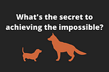 What’s the secret to achieving the impossible?