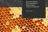 5 things you need to know about the Launch of the TNFD Recommendations