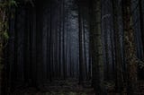 Don’t Just Look in the AI Mirror. Build Your Custom Frame First, article by Greg Twemlow, image dark forest by rosie-fraser-187327-unsplash