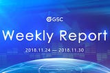 weekly report