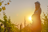 pregnant person beside grapevines and trees in sunset