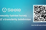 Community Opinion Survey of SEELE’s Granularity Subdivision