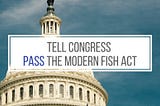 Real Conservation Starts with the Modern Fish Act