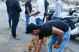 The Covid Crisis — A Tough Time for Street Animals in India