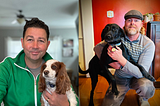 Impact Company: BestyBnB are Breaking Barriers in Pet Care and Keeping Pets and People Together