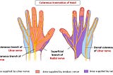 Top 3 Causes of Hand Tingling/Numbness + Pain with Cycling
