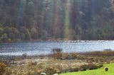 Ireland, hills in the background, lake glistening with sunlight, and sheep grazing in the green grasses