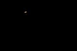 Do you ever feel that while we are waiting for our very brief time to end on a tiny blue planet, we…