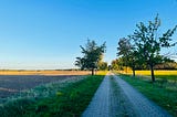 Pathway through a rural area with trees and fields, some late evening sun in the distance. Photo be the Author titled Moment of Peace.