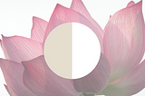 Lotus image with a half white half cream circle depicting duality, personaly created image of the author