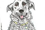 Portrait drawing of author’s pet Jake by author’s friend artist Deon