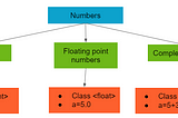 Numbers in Python